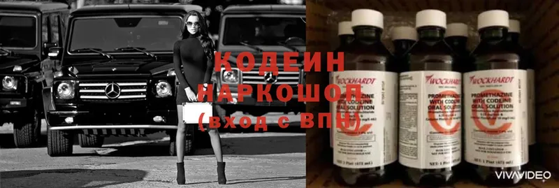 Codein Purple Drank  даркнет какой сайт  Щёкино 