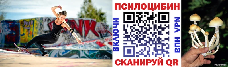 Псилоцибиновые грибы прущие грибы Щёкино